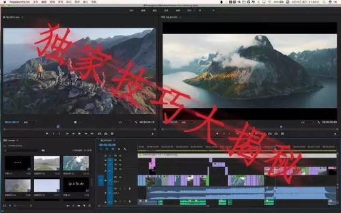 国外摄影师爆料网站视频,独家视频内容深度解析